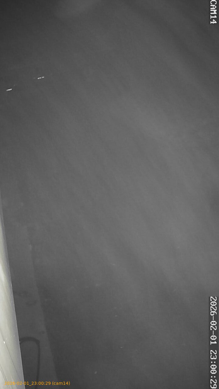 thumbnail_20260201230029