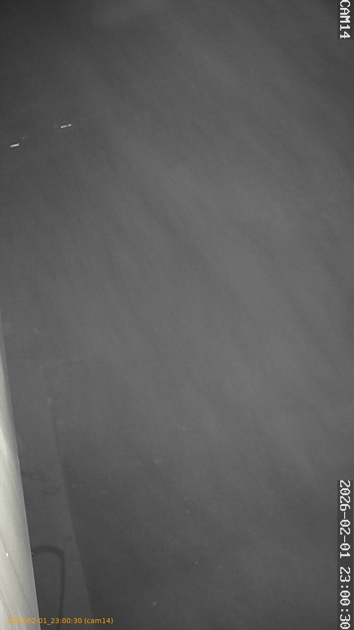 thumbnail_20260201230030