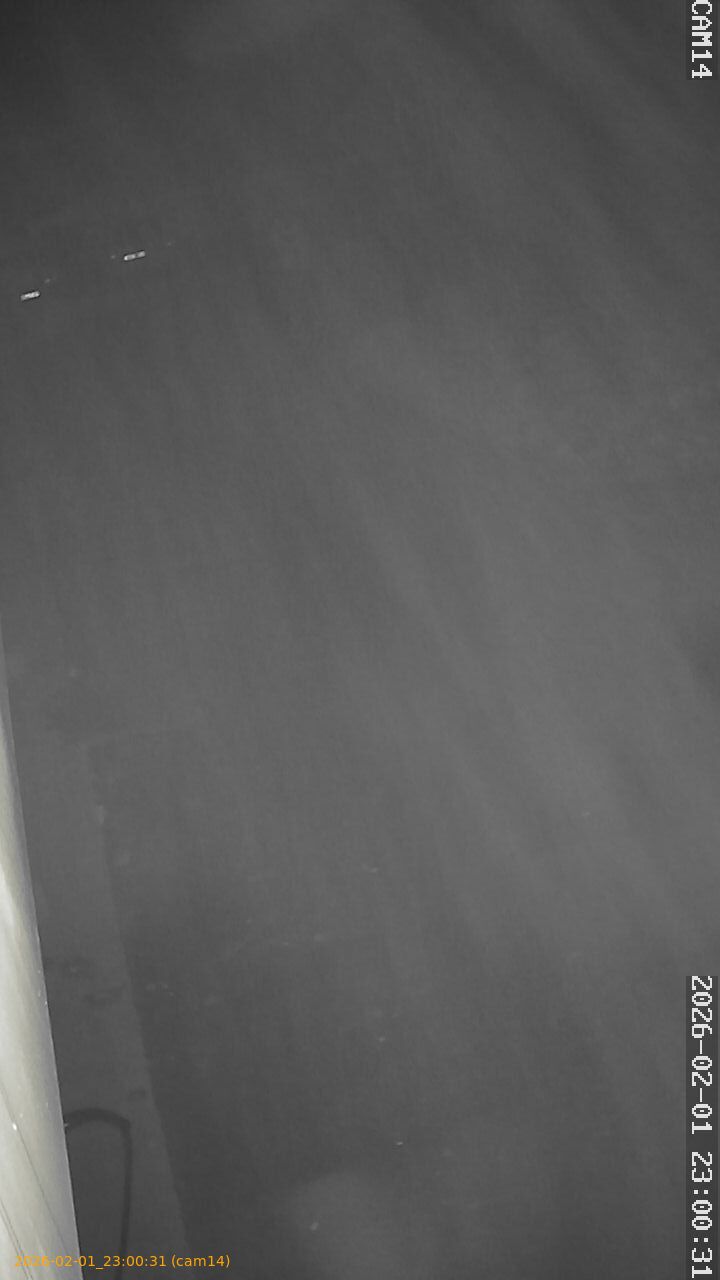 thumbnail_20260201230031