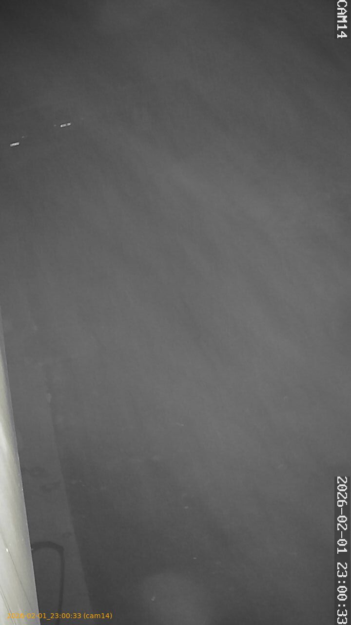 thumbnail_20260201230033