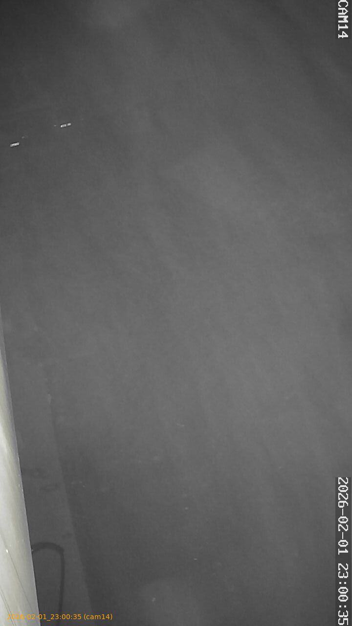 thumbnail_20260201230035