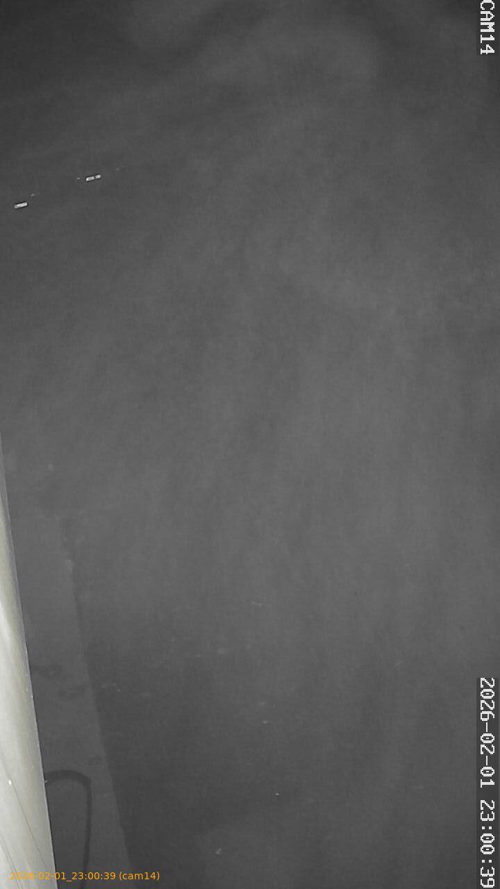 thumbnail_20260201230039