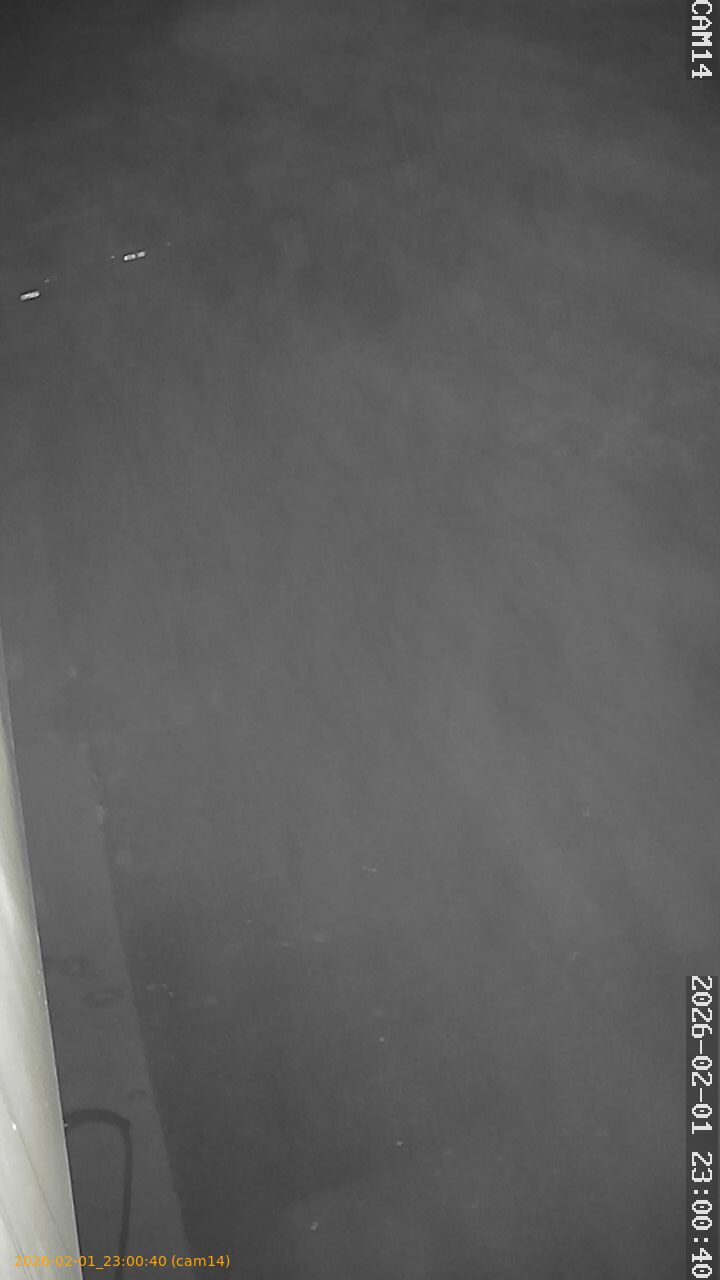 thumbnail_20260201230040