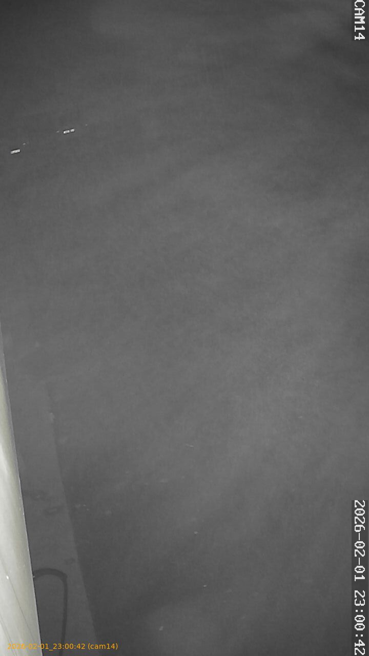 thumbnail_20260201230042