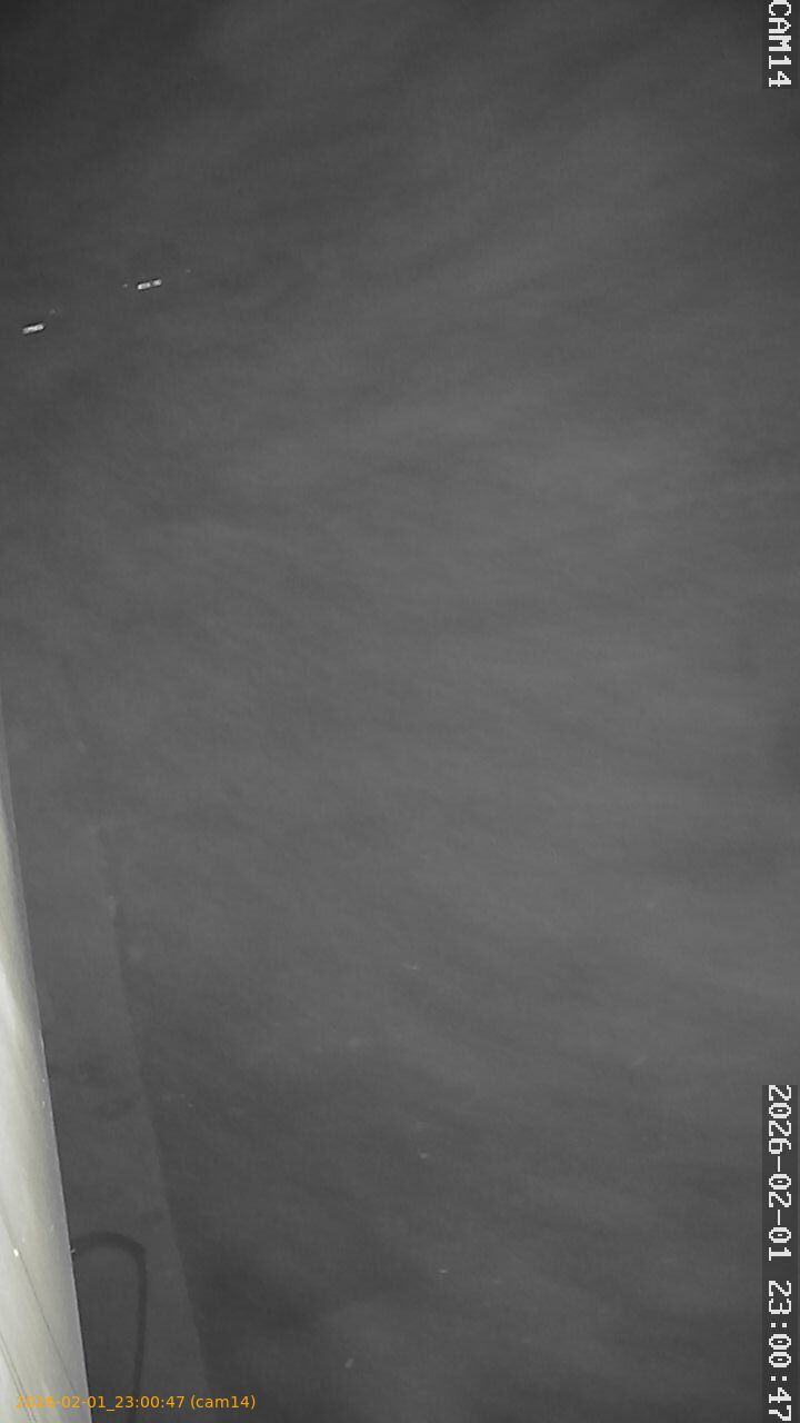 thumbnail_20260201230047