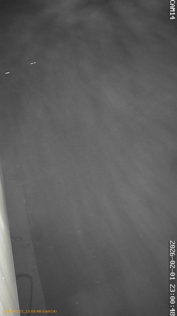 thumbnail_20260201230048