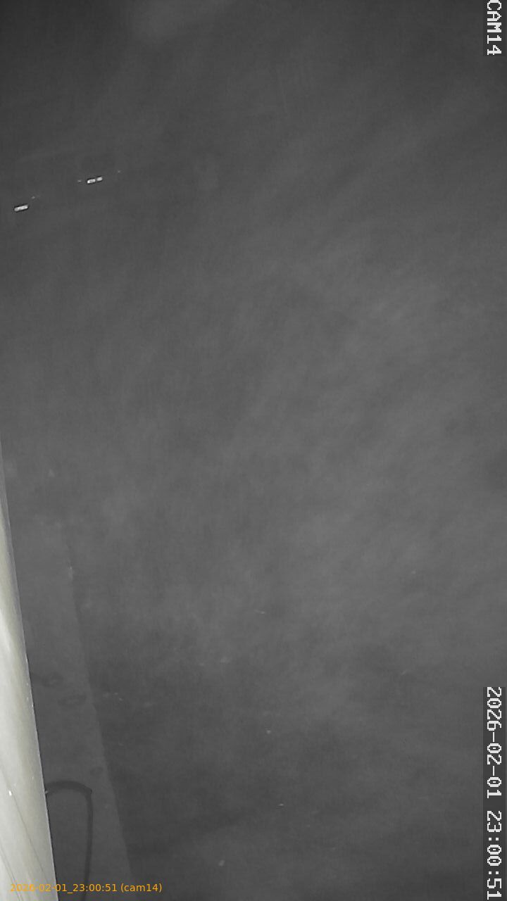 thumbnail_20260201230051