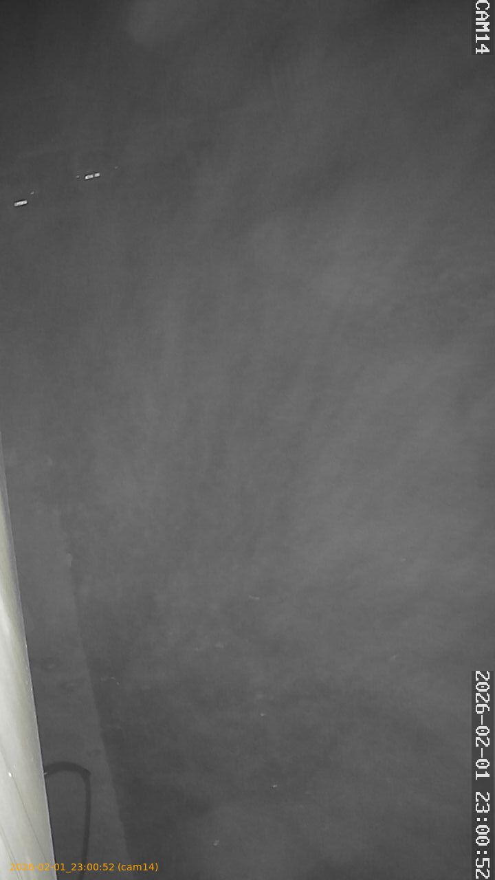 thumbnail_20260201230052