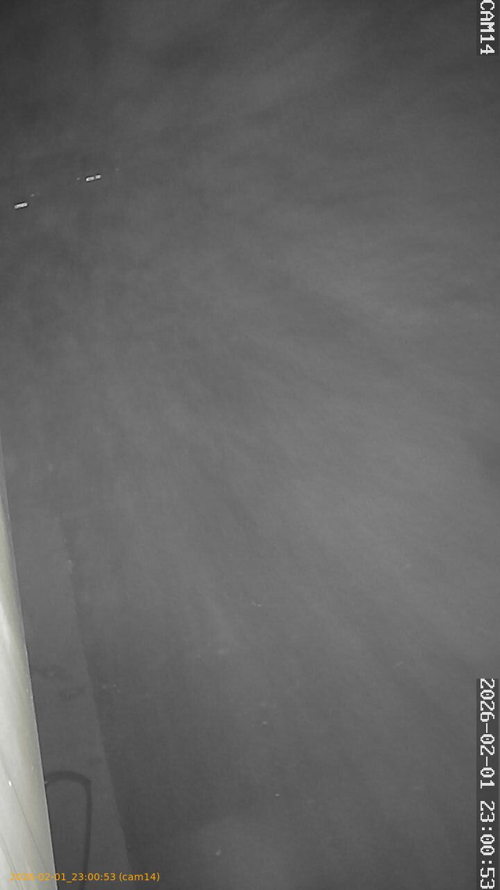 thumbnail_20260201230053