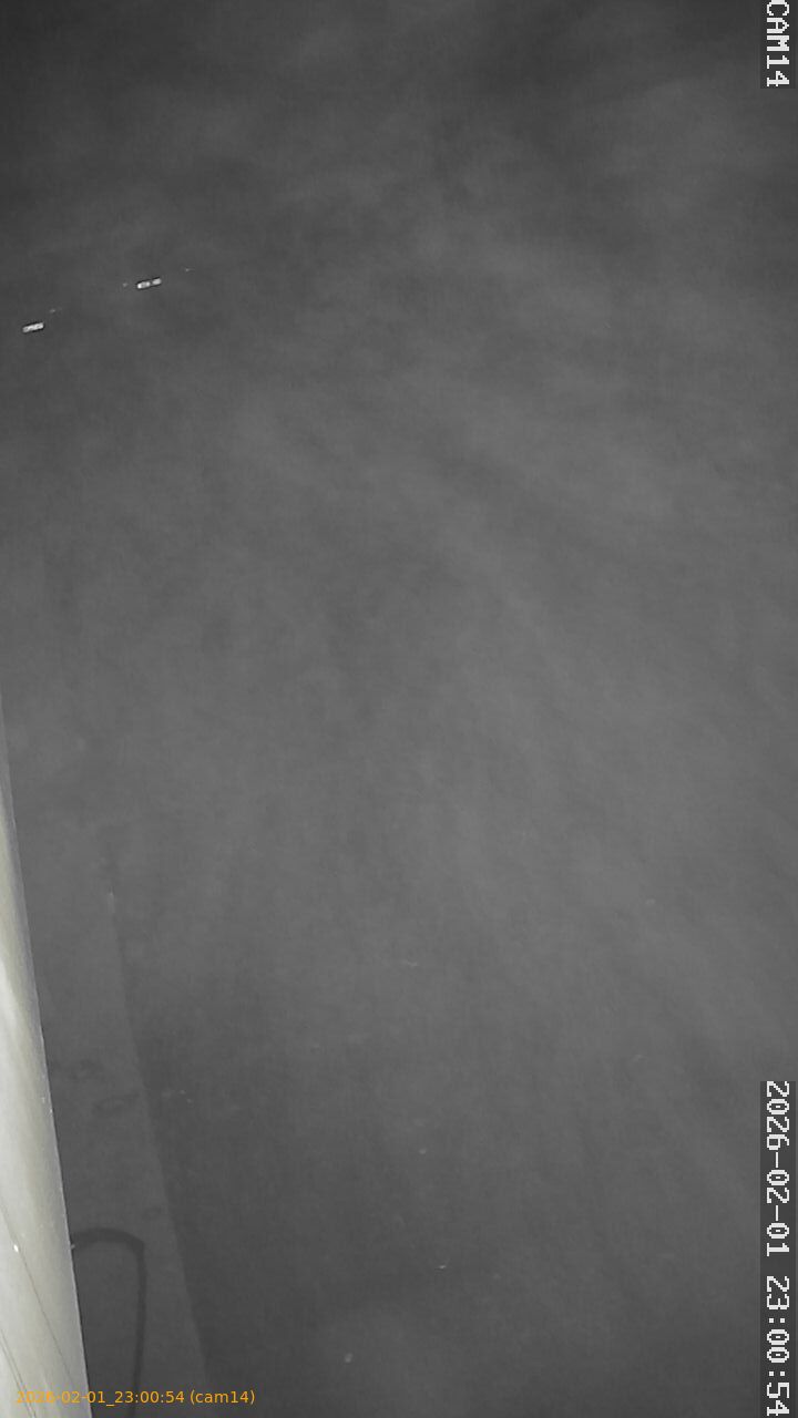 thumbnail_20260201230054