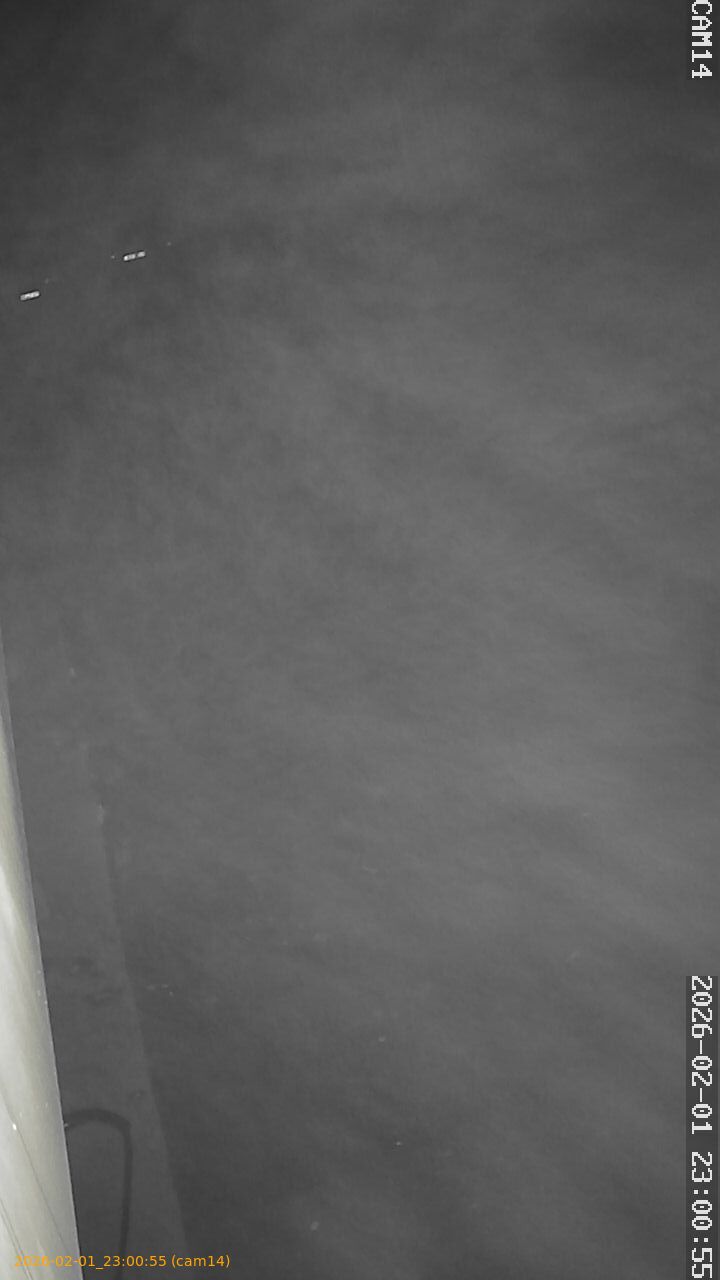 thumbnail_20260201230055