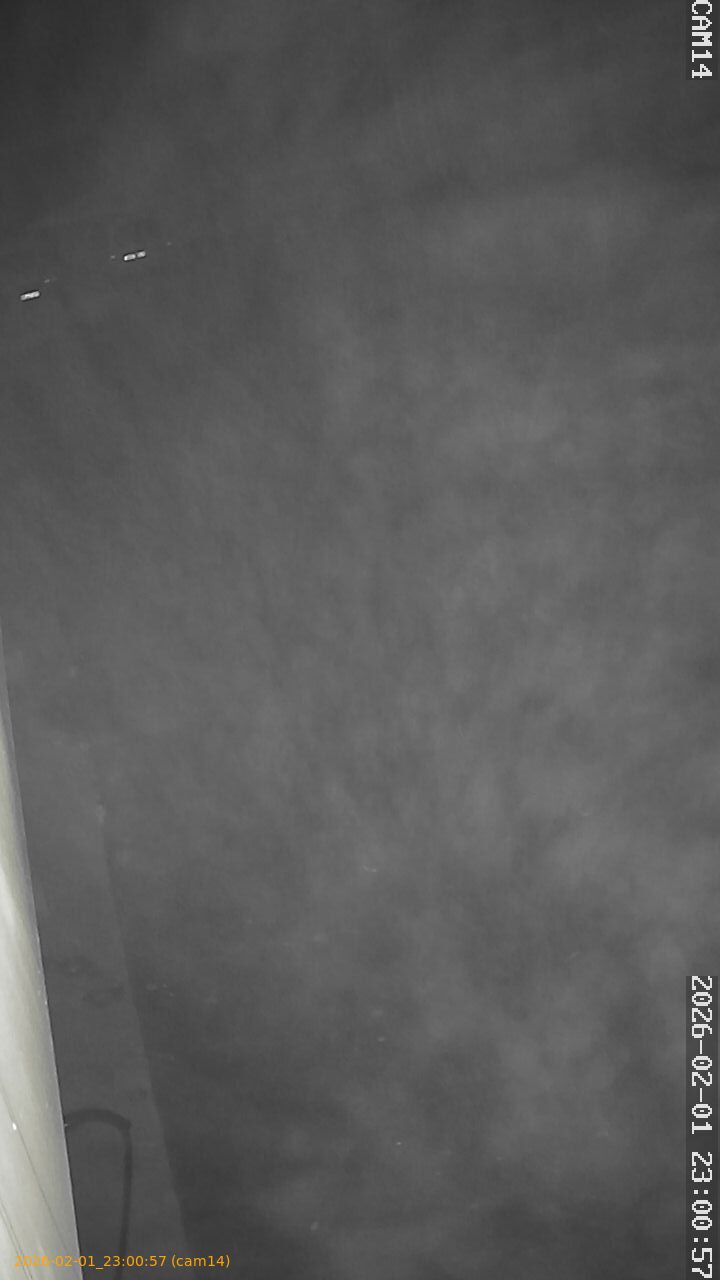 thumbnail_20260201230057