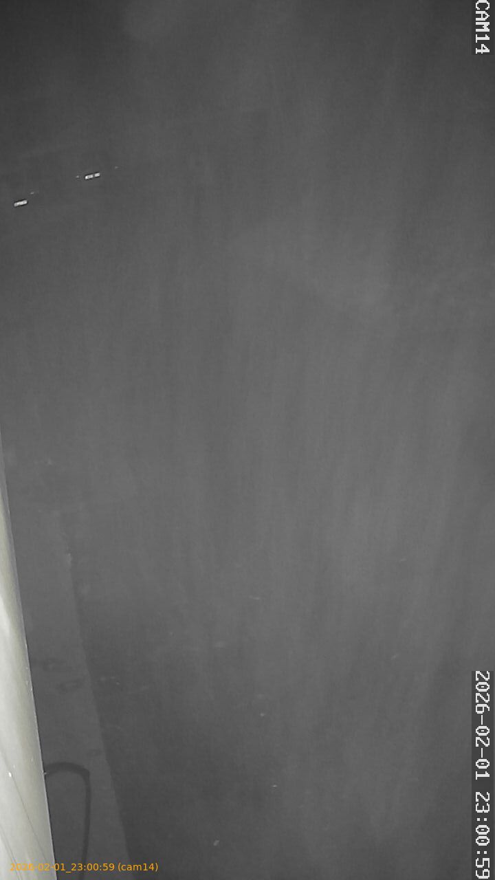 thumbnail_20260201230059