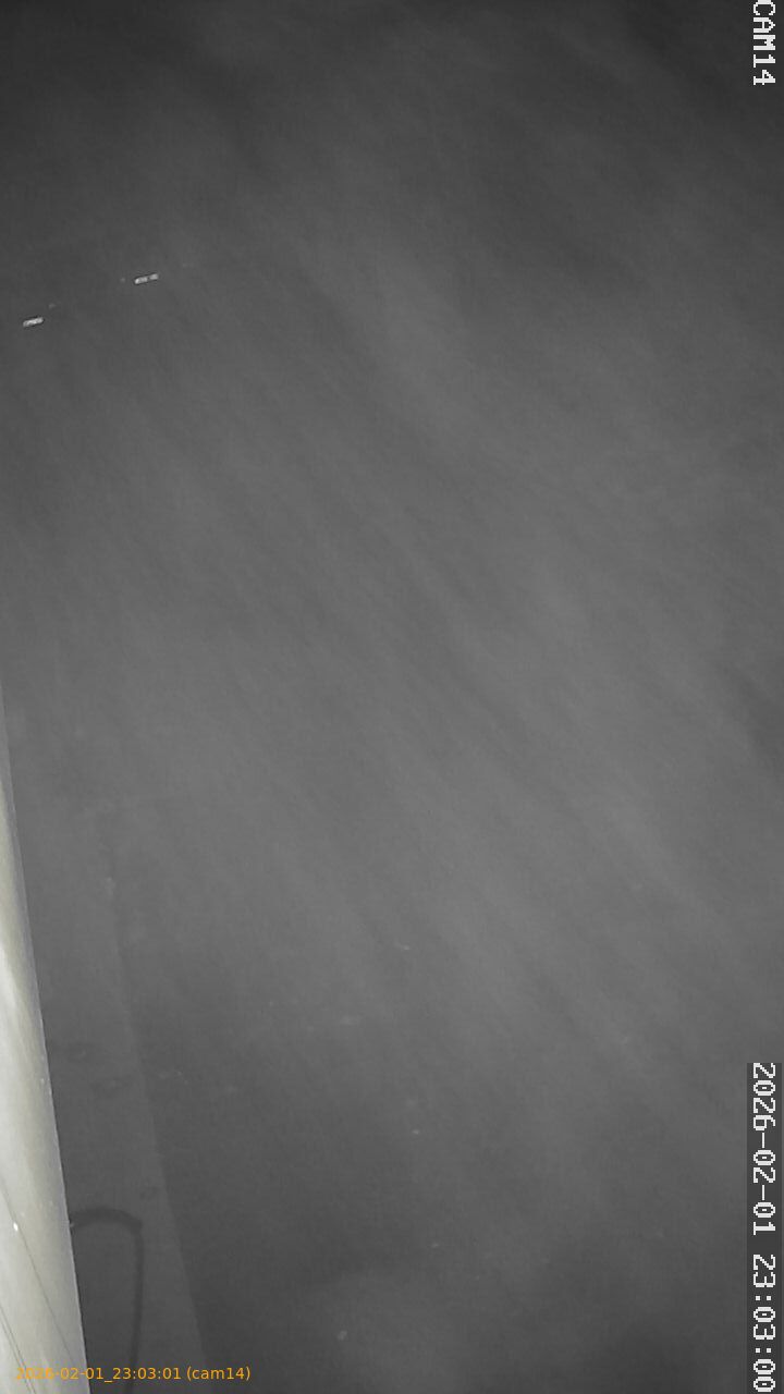 thumbnail_20260201230301