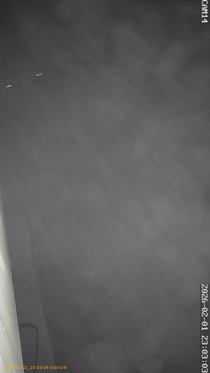 thumbnail_20260201230304