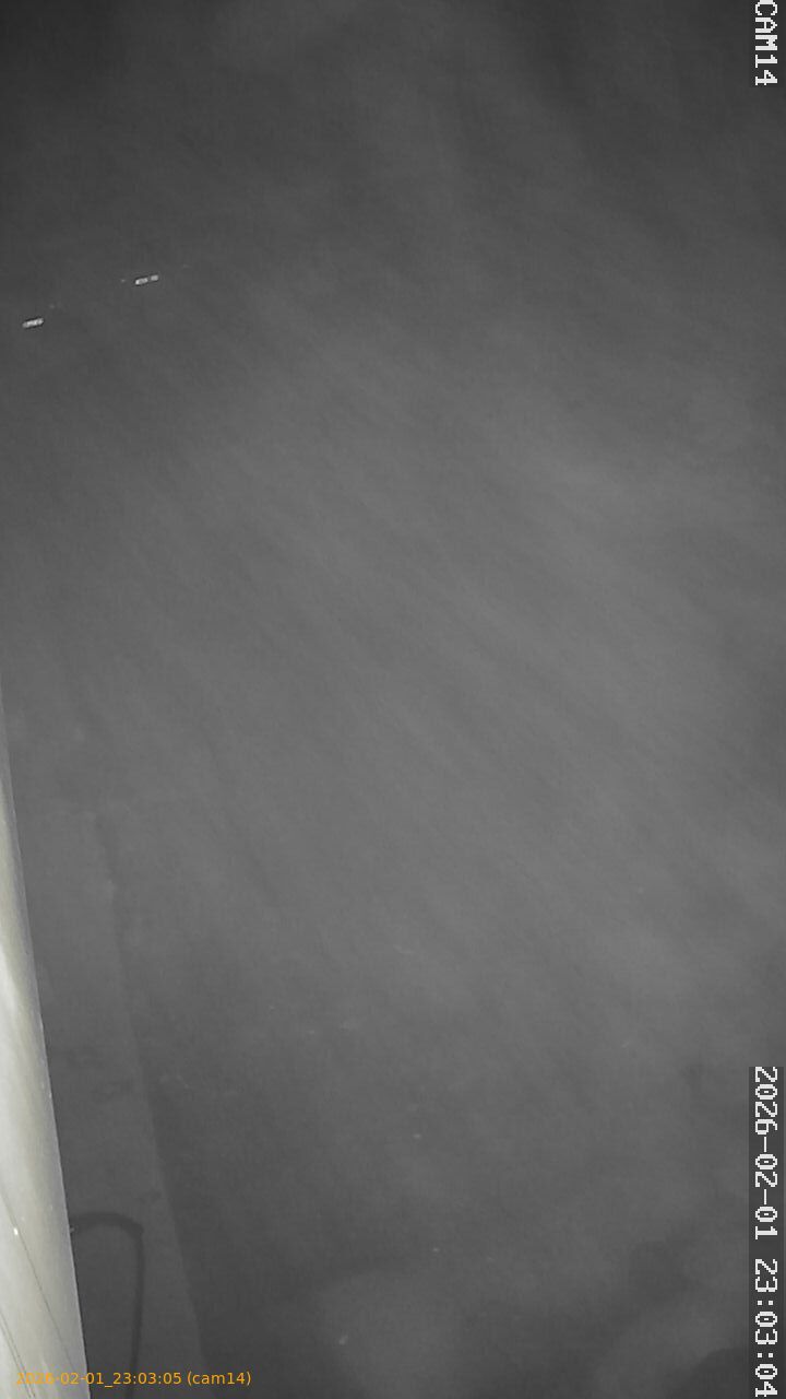 thumbnail_20260201230305