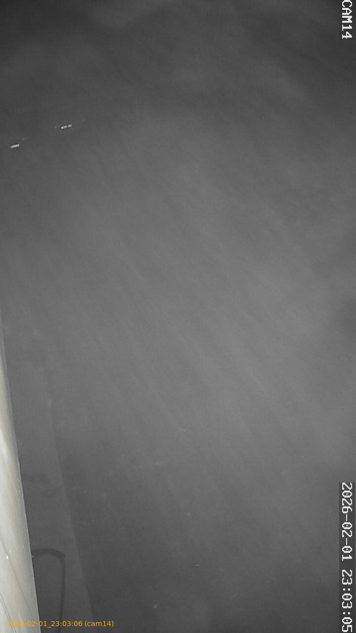 thumbnail_20260201230306