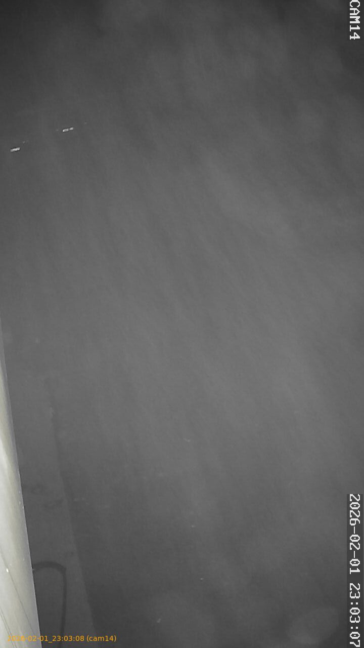 thumbnail_20260201230308