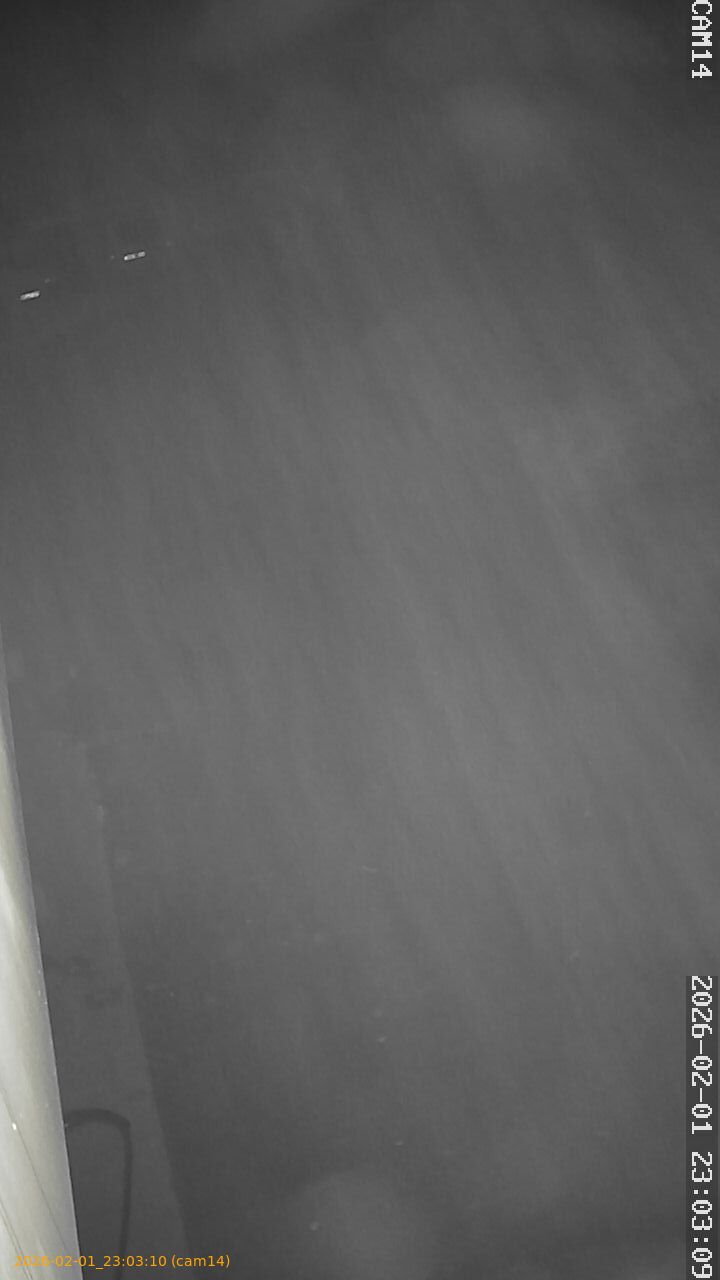 thumbnail_20260201230310