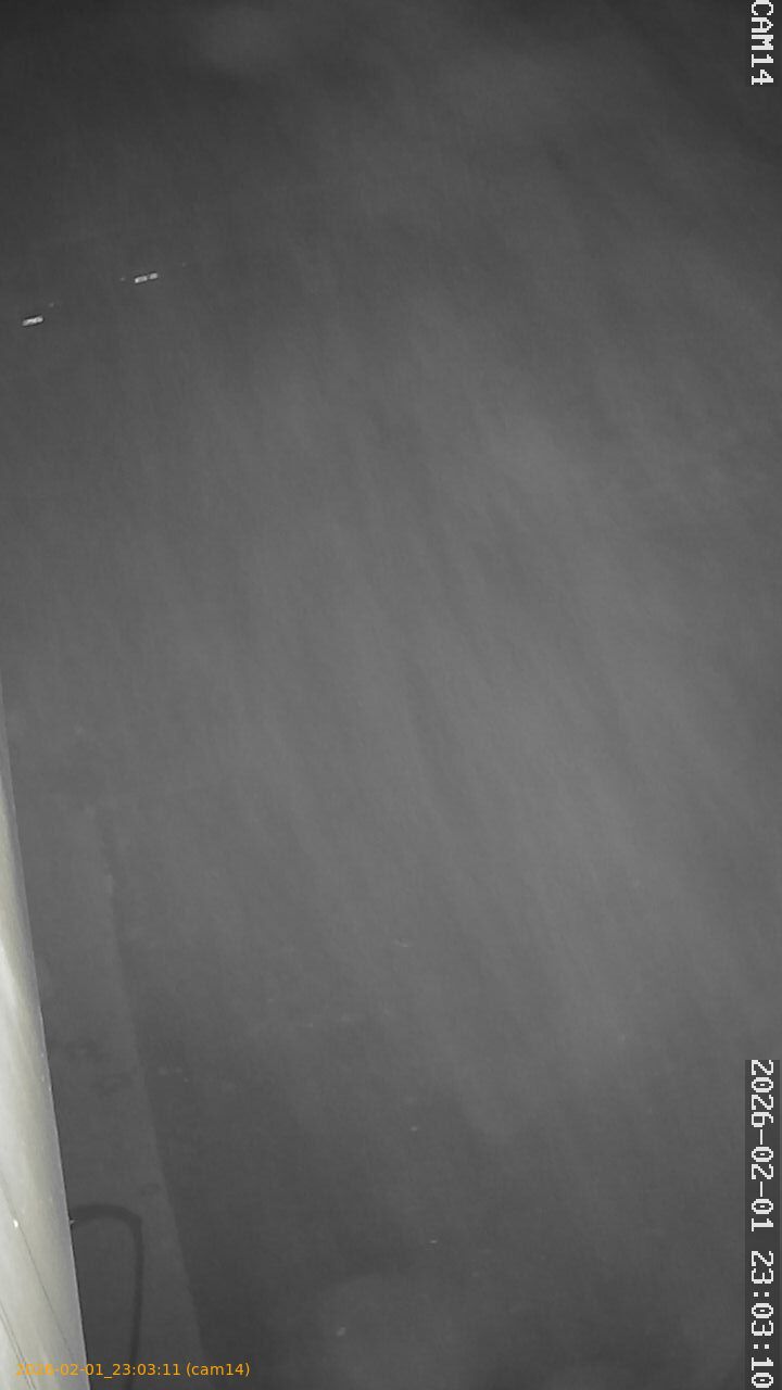 thumbnail_20260201230311