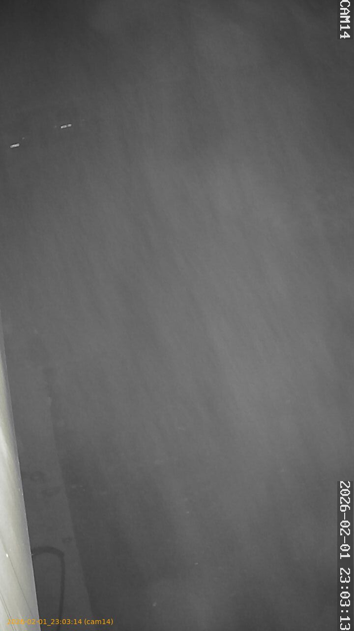 thumbnail_20260201230314