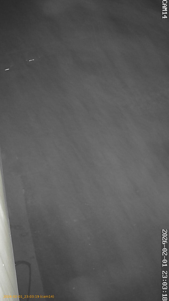 thumbnail_20260201230319