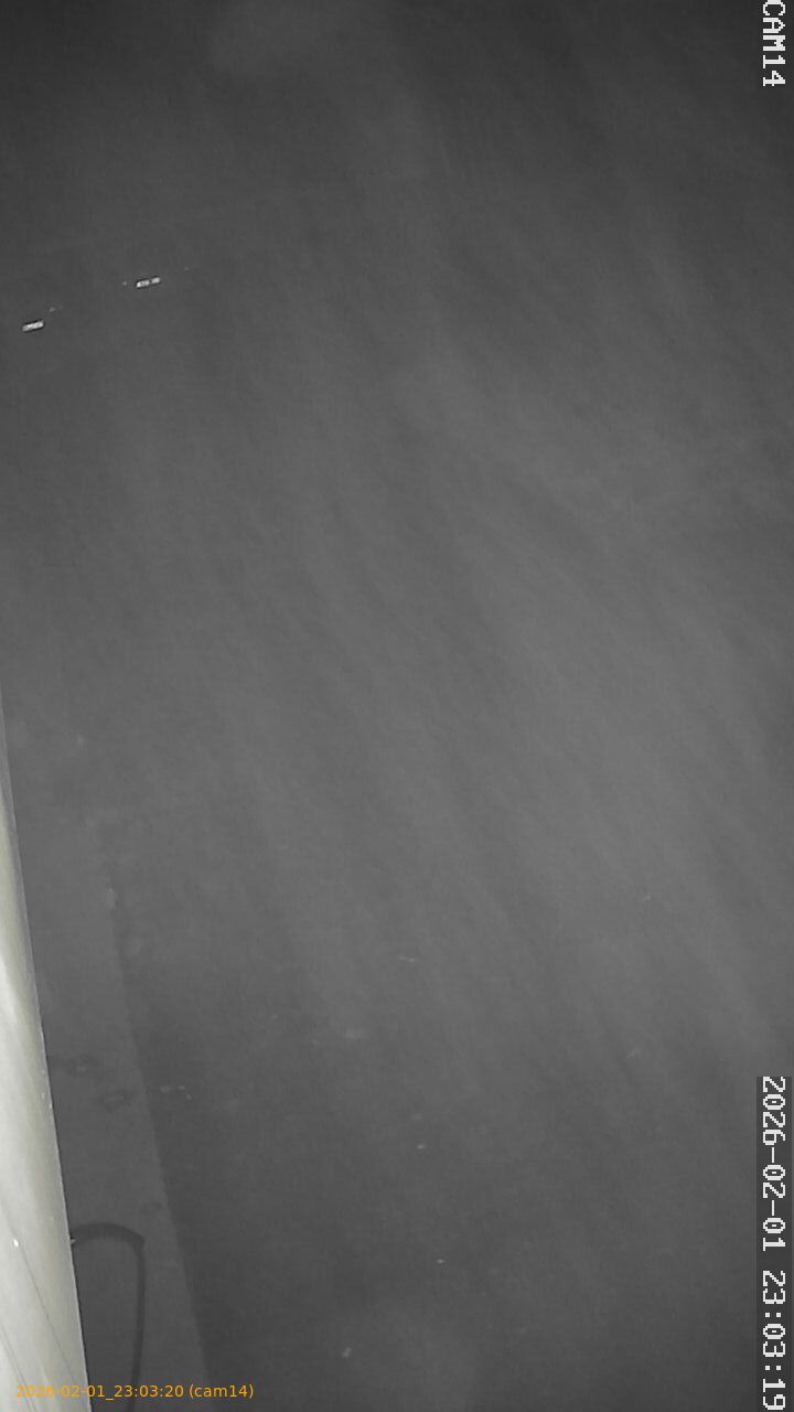 thumbnail_20260201230320