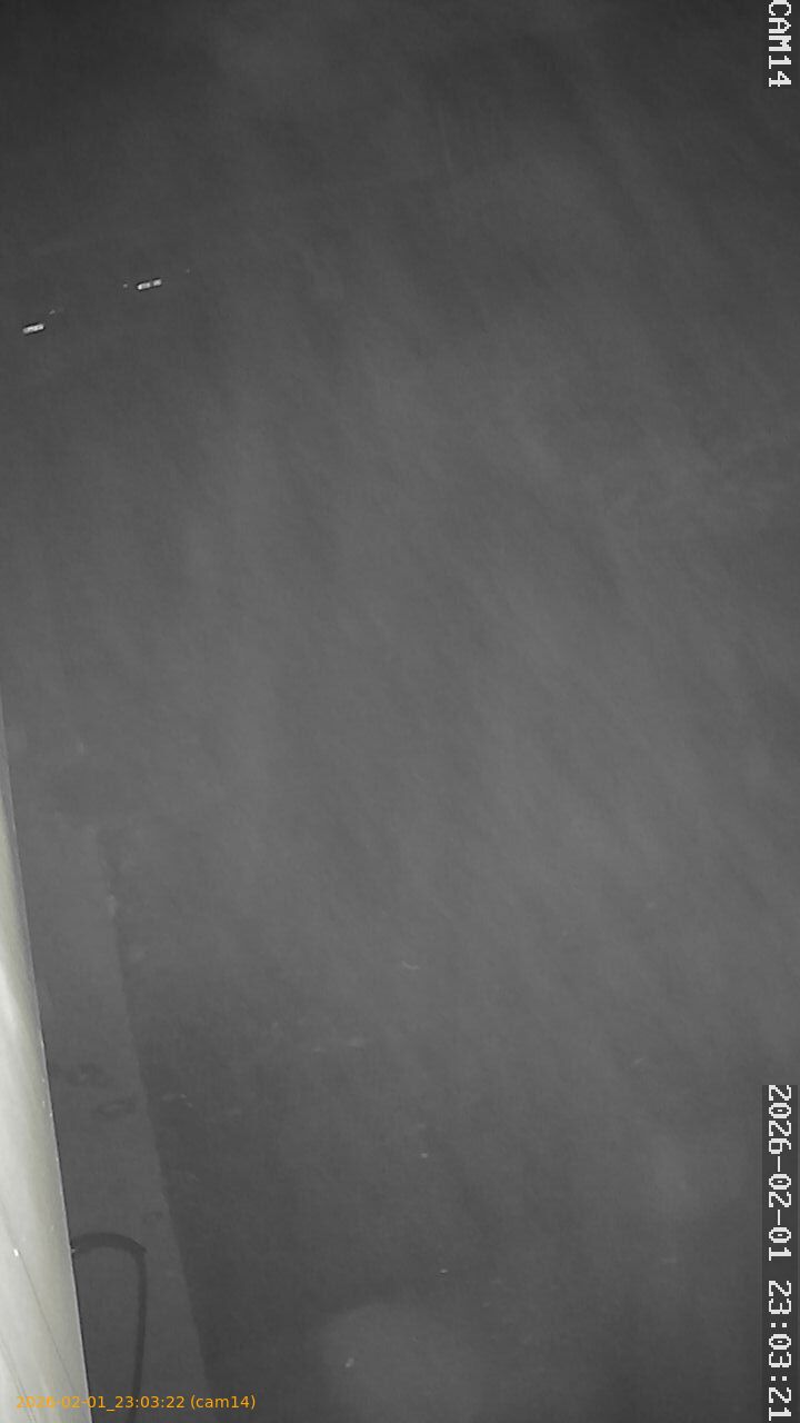 thumbnail_20260201230322