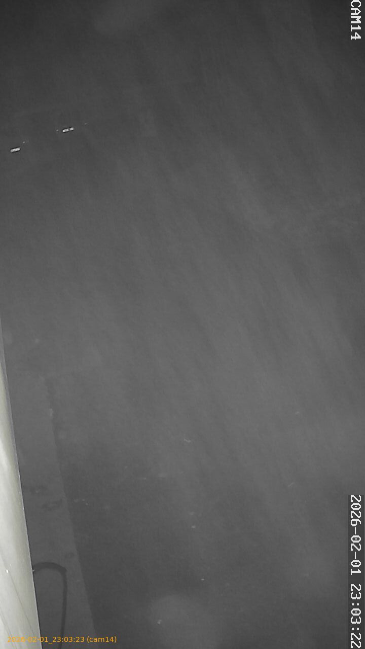 thumbnail_20260201230323