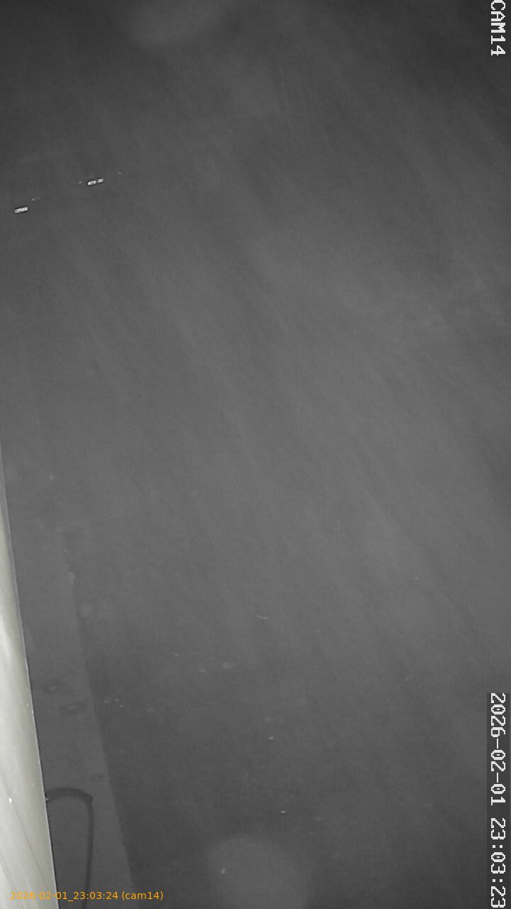 thumbnail_20260201230324