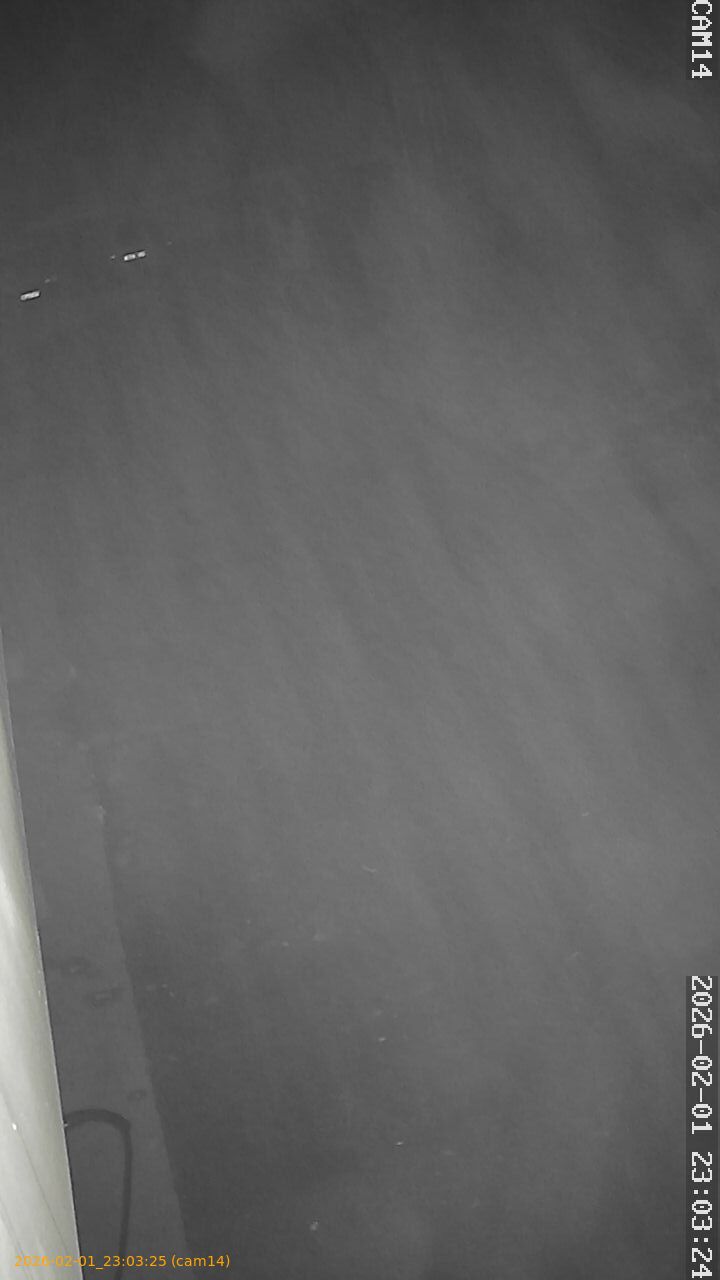 thumbnail_20260201230325