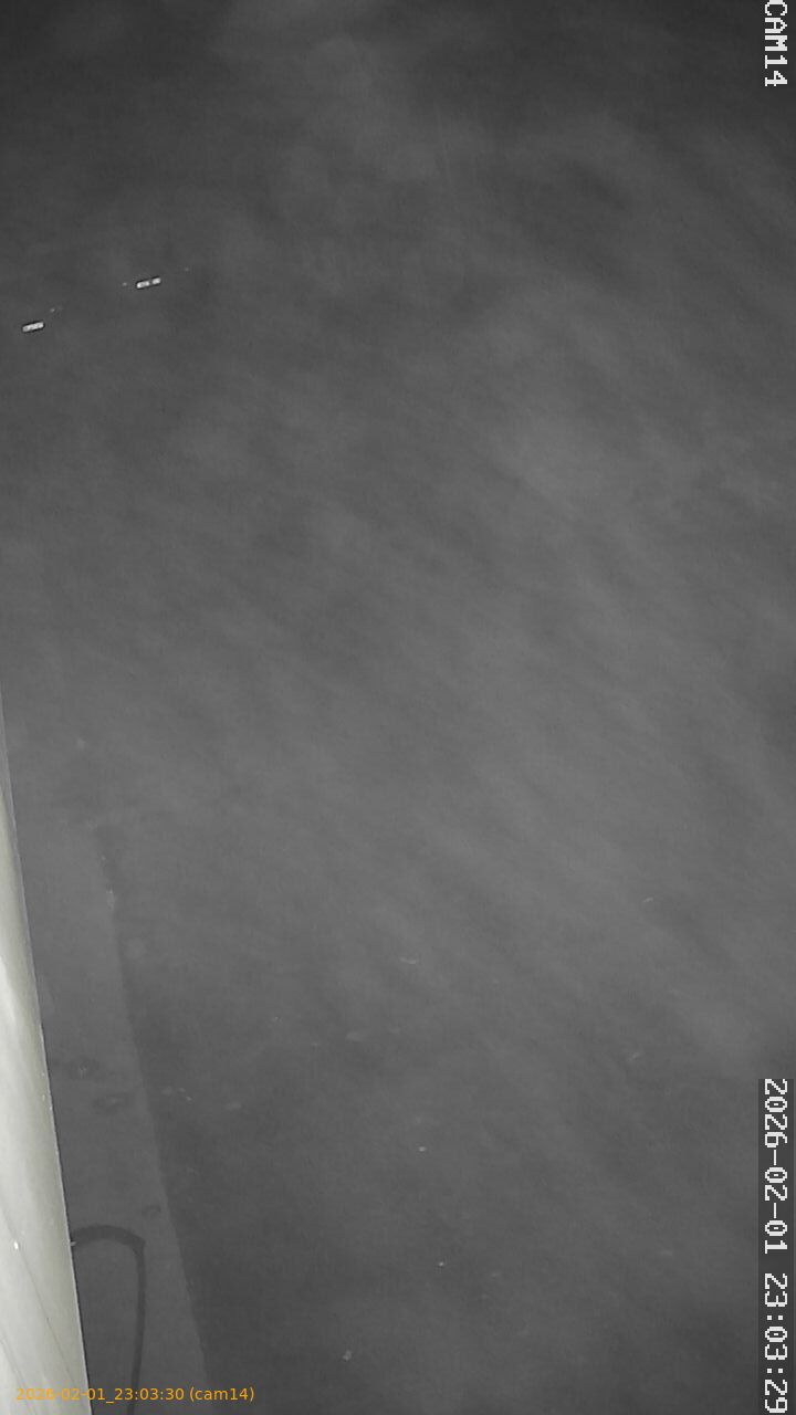 thumbnail_20260201230330