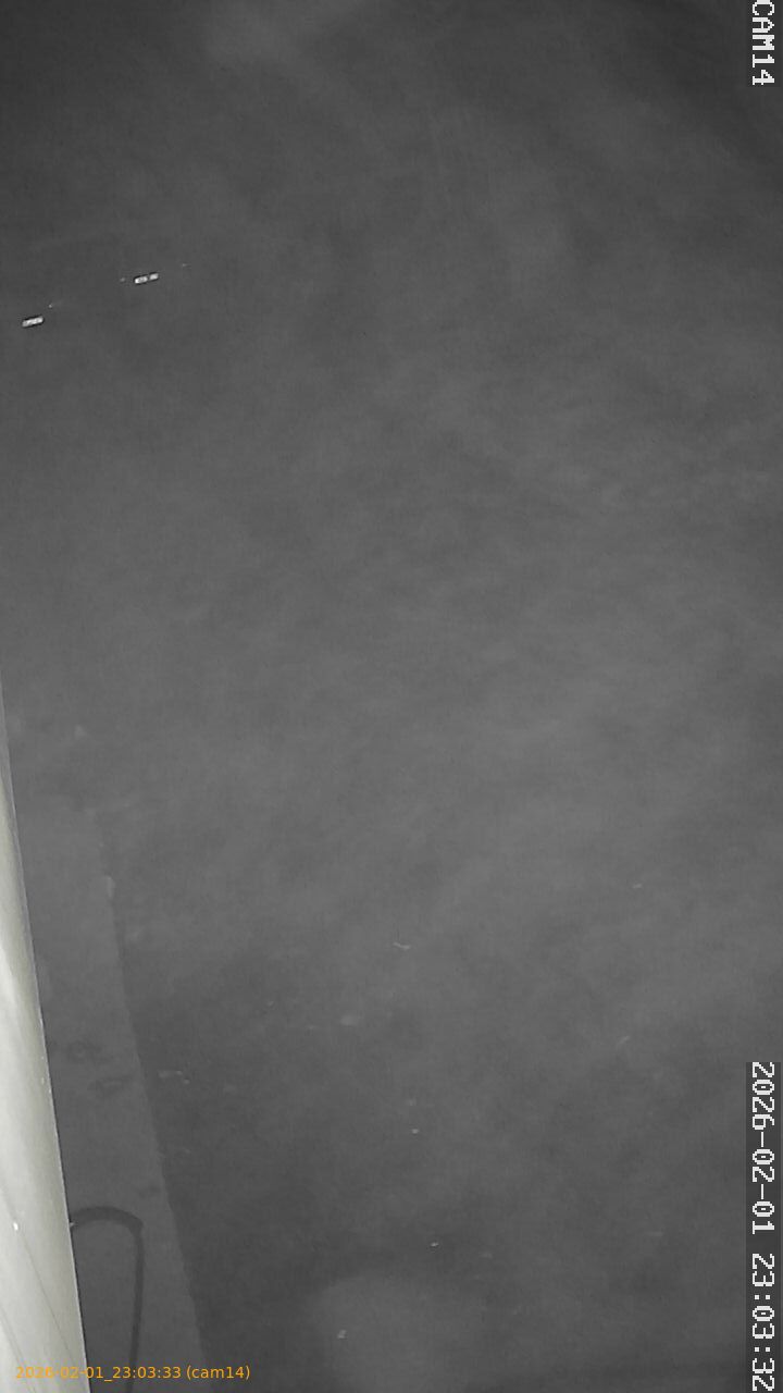 thumbnail_20260201230333