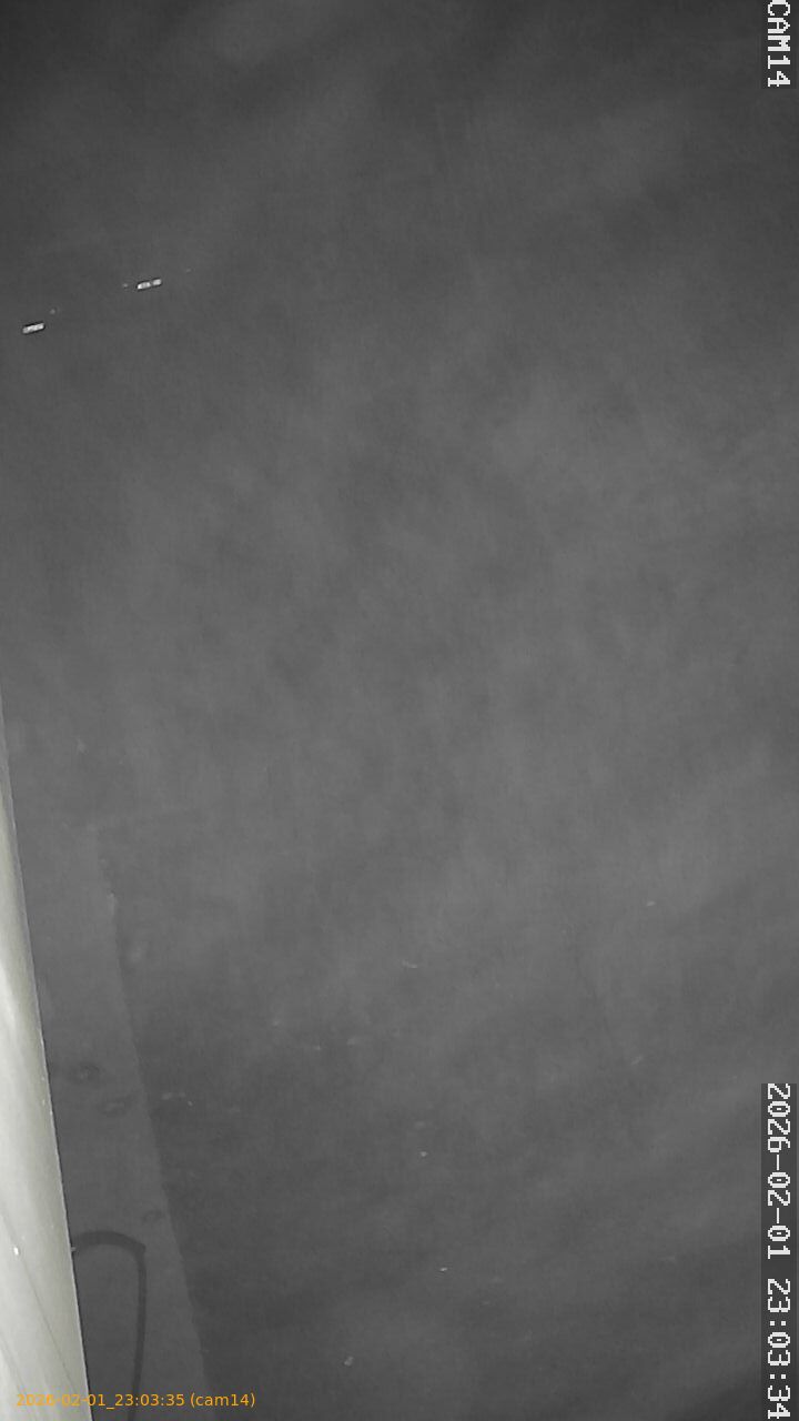 thumbnail_20260201230335