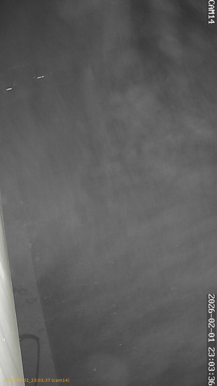 thumbnail_20260201230337