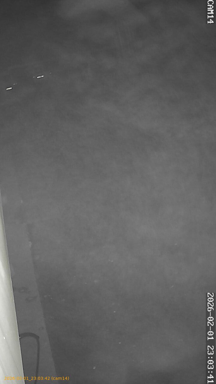 thumbnail_20260201230342