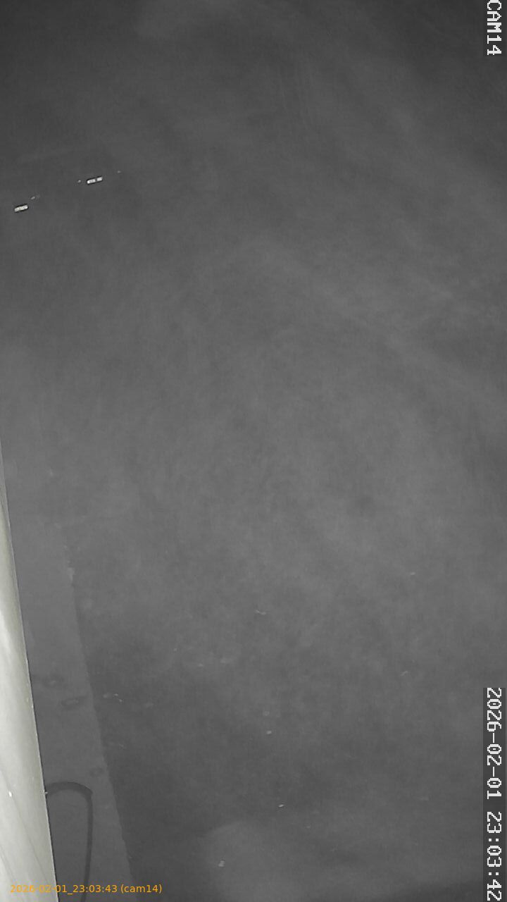 thumbnail_20260201230343