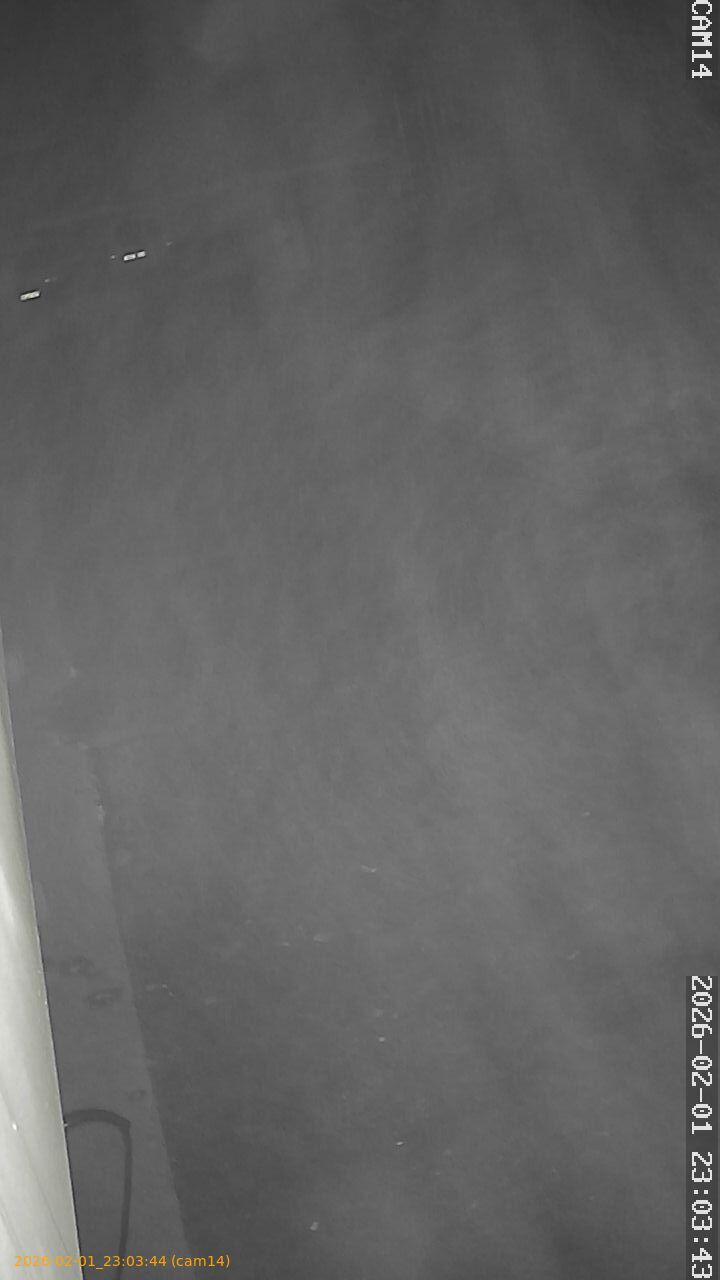 thumbnail_20260201230344