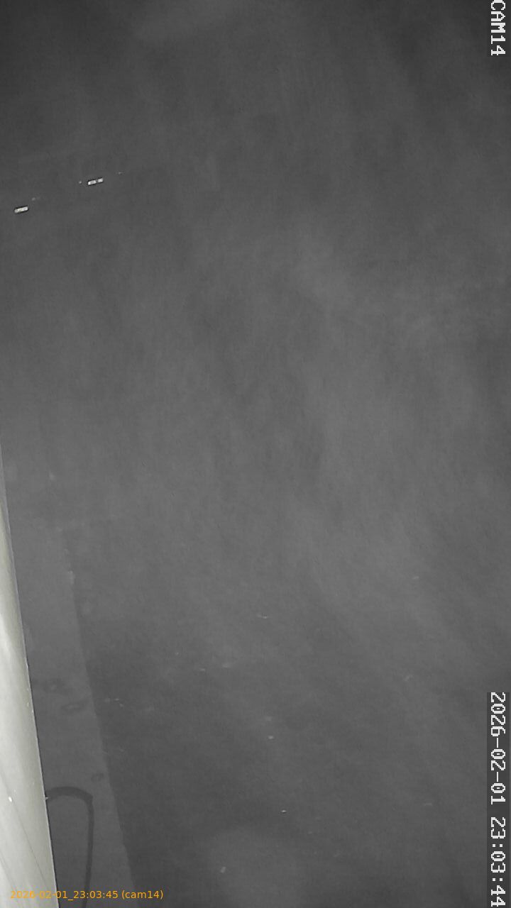 thumbnail_20260201230345