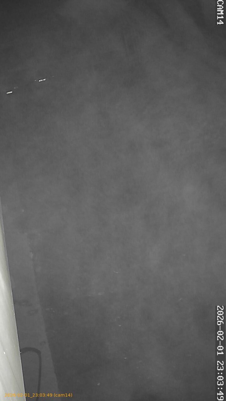 thumbnail_20260201230349