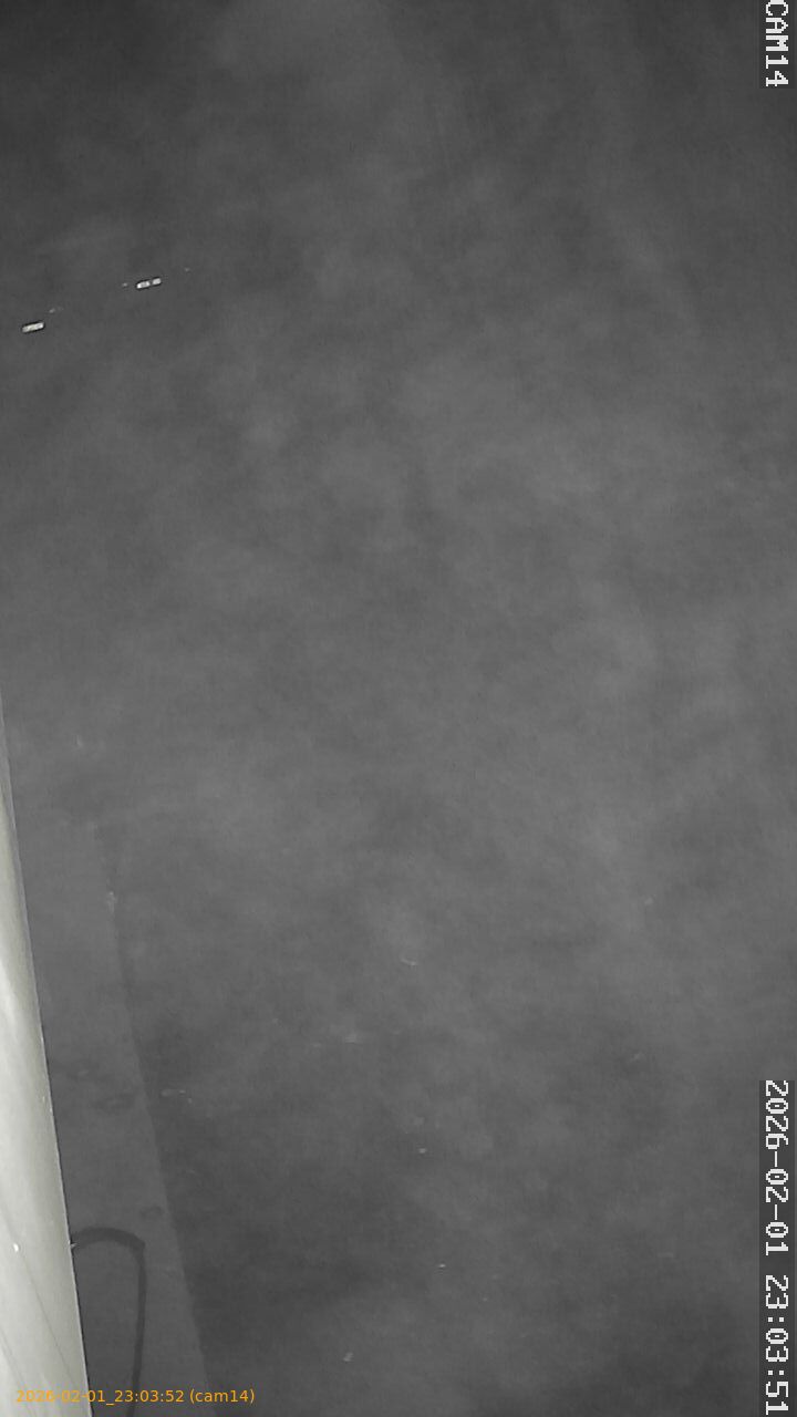 thumbnail_20260201230352