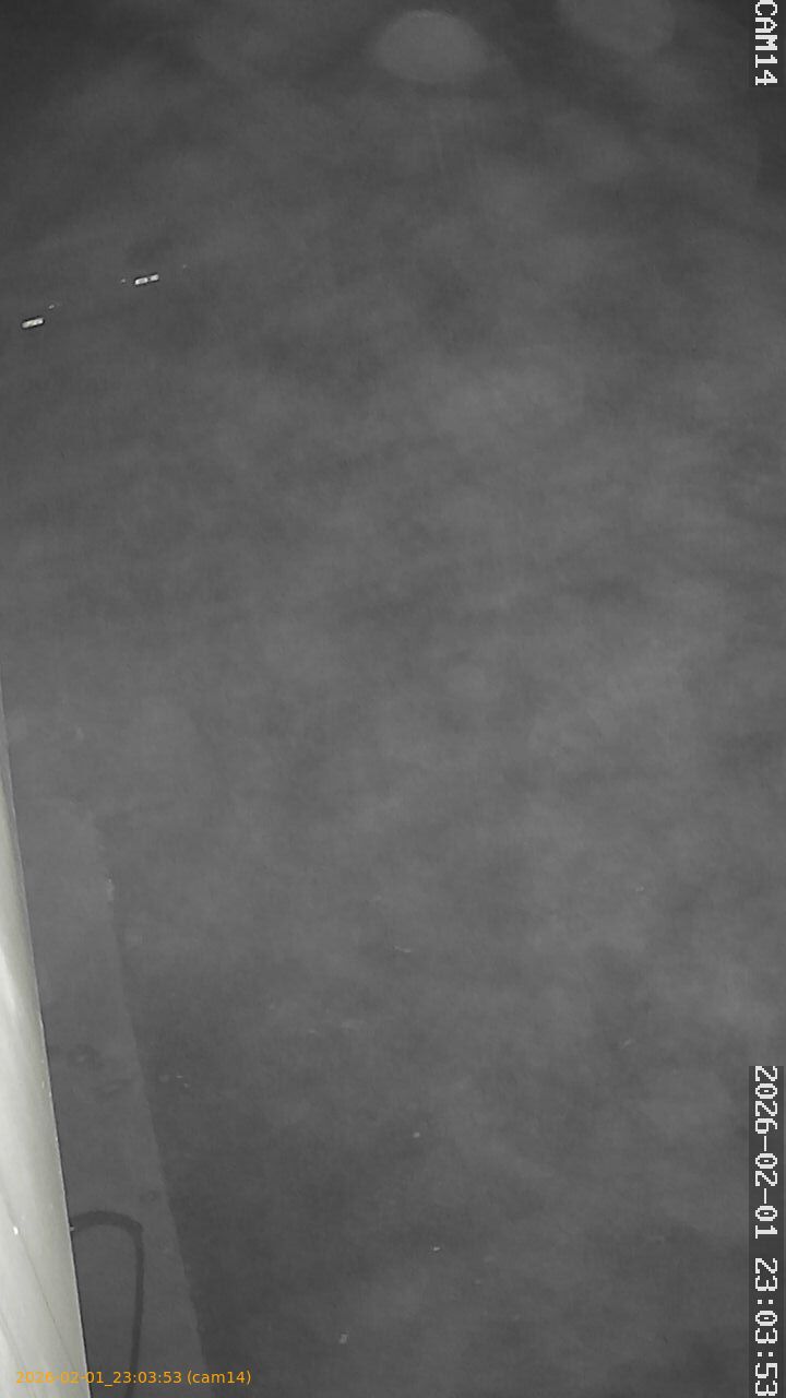 thumbnail_20260201230353