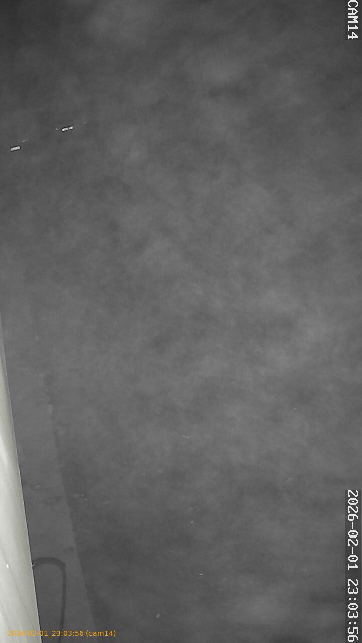 thumbnail_20260201230356