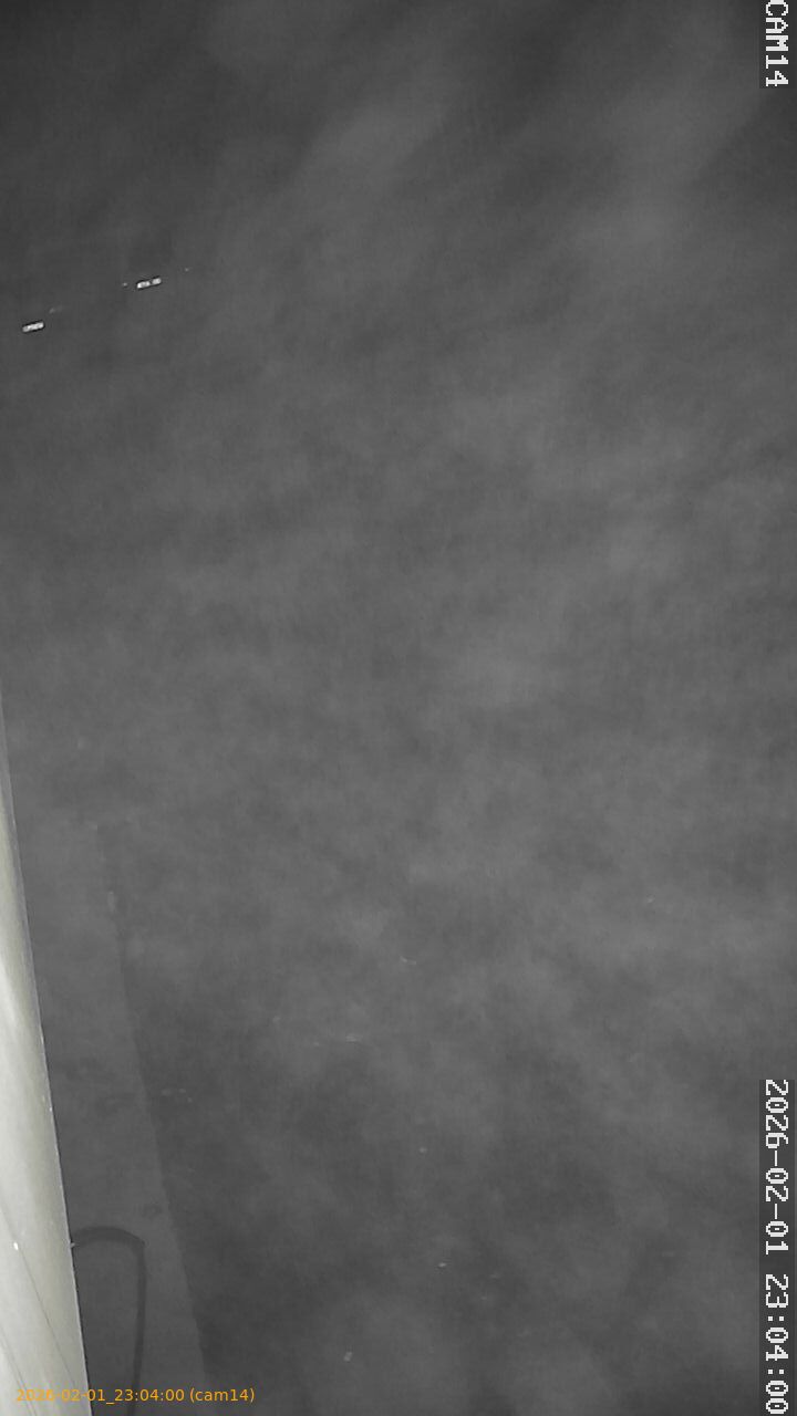 thumbnail_20260201230400