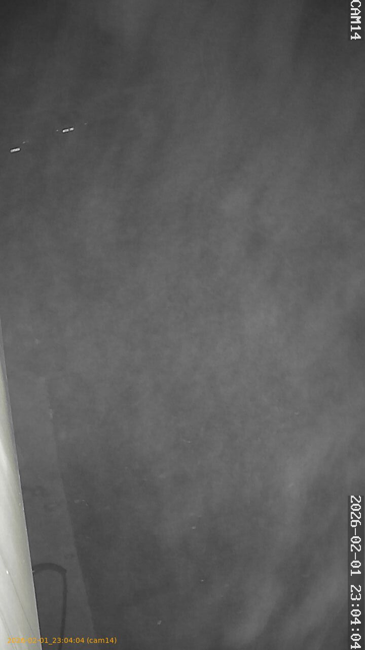 thumbnail_20260201230404