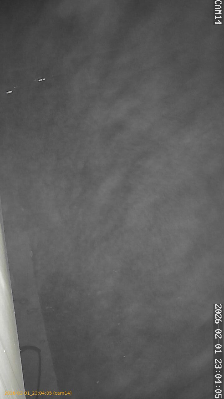 thumbnail_20260201230405