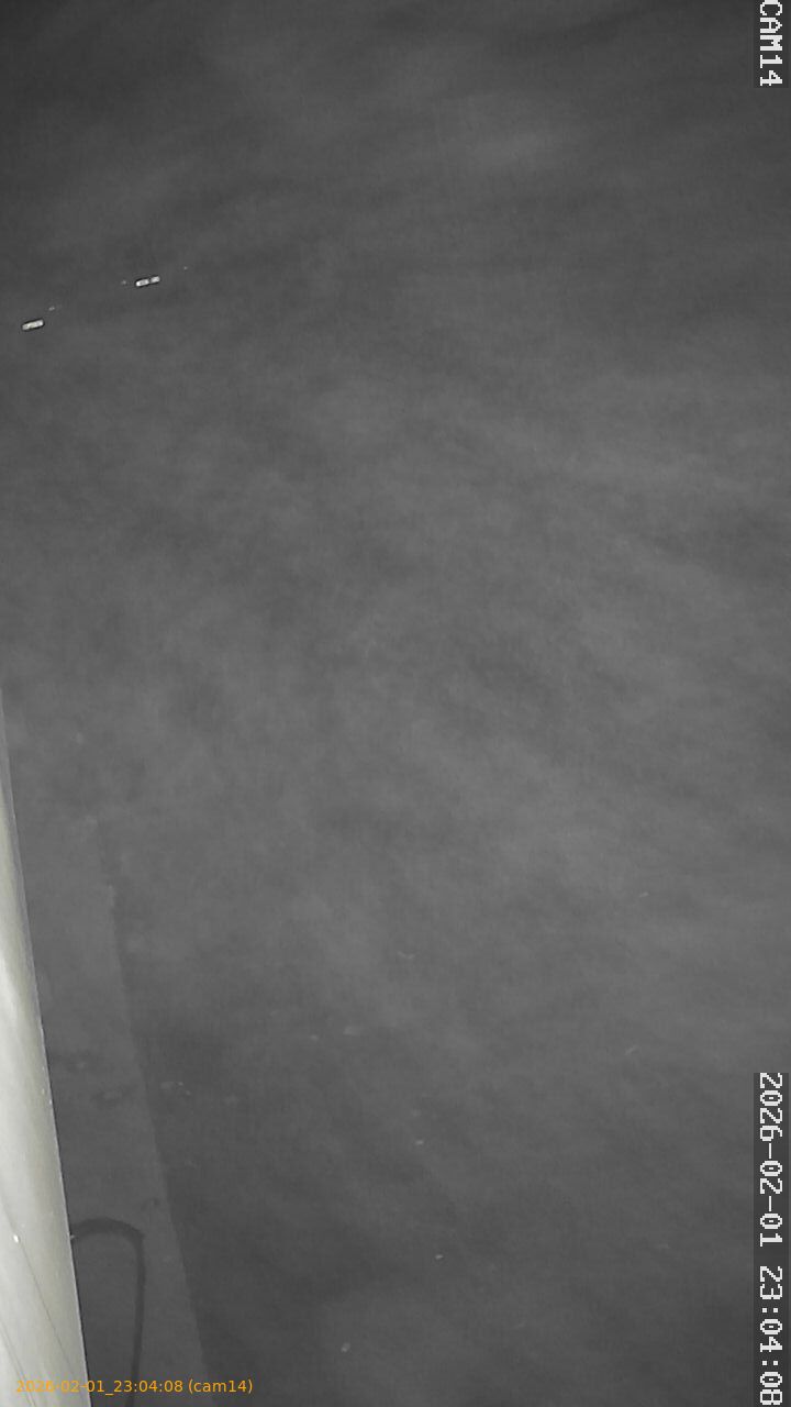 thumbnail_20260201230408