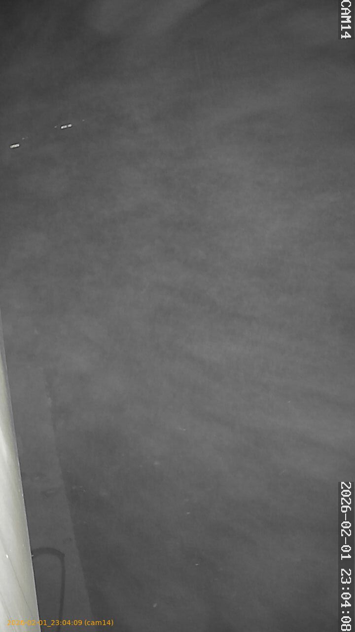 thumbnail_20260201230409