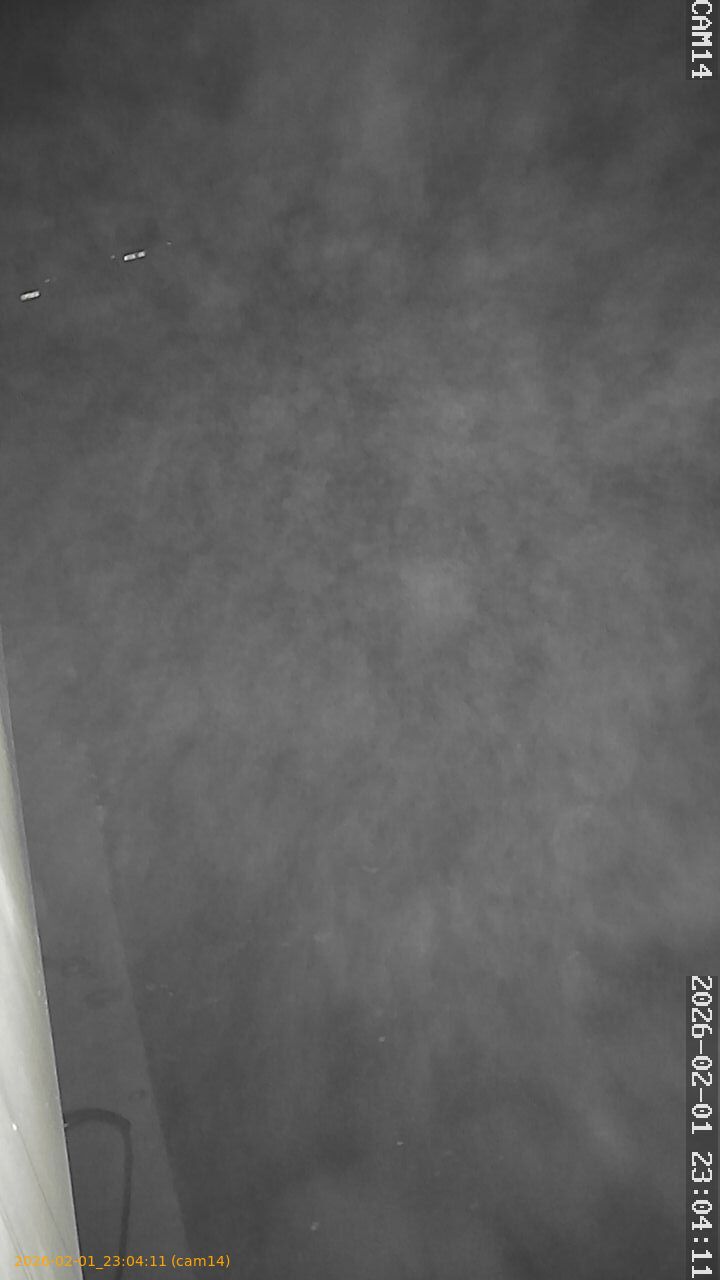 thumbnail_20260201230411