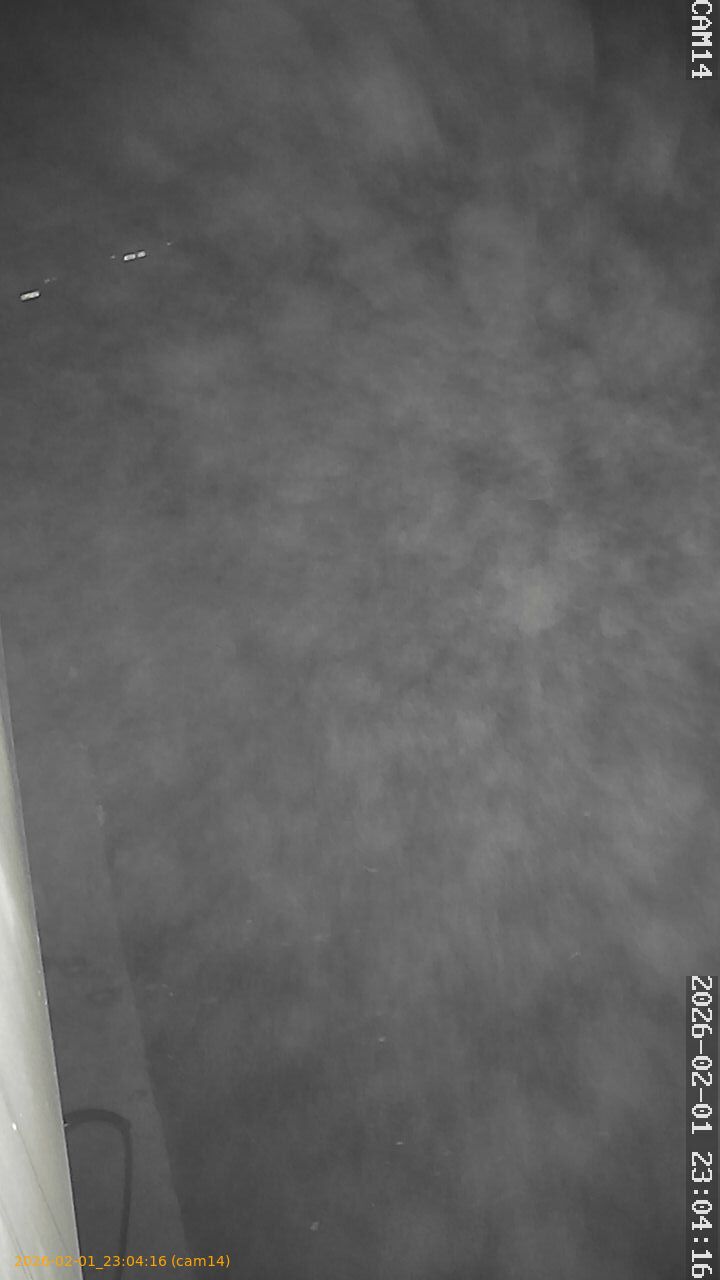 thumbnail_20260201230416